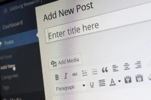 WordPress blog editor showing a new post being created for content publishing.